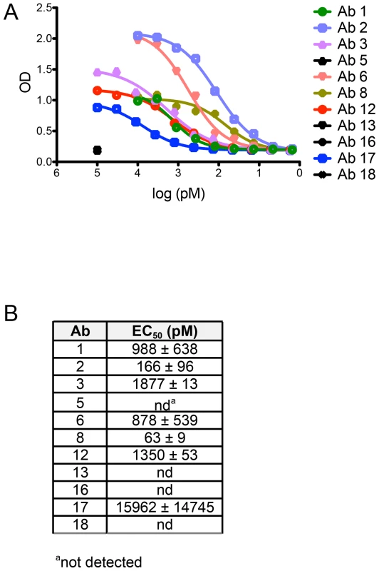 Non-neutralizing human mAbs 5, 13, 16, and 18 do not bind to HPV 16 psV.