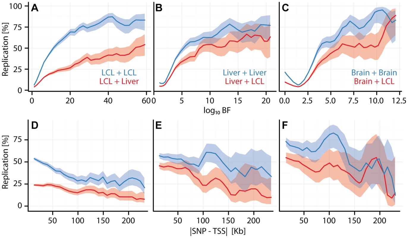 Cell type specific eQTL replication frequencies.