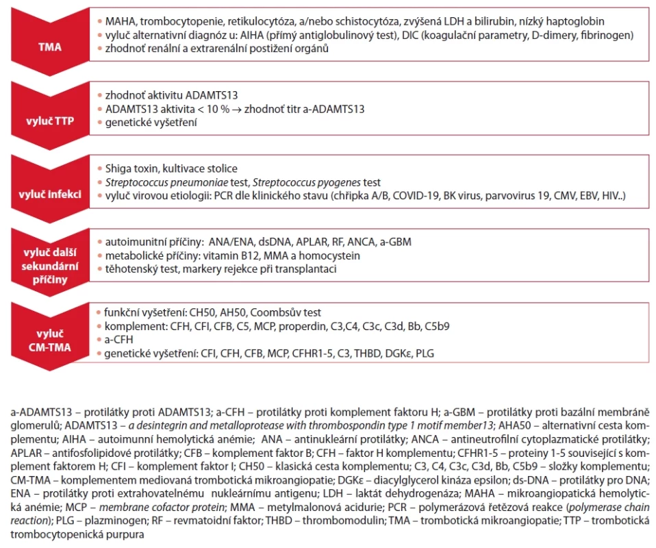 Diferenciálně diagnostický algoritmus TMA v dětském věku, zpracováno podle [3,4,11].