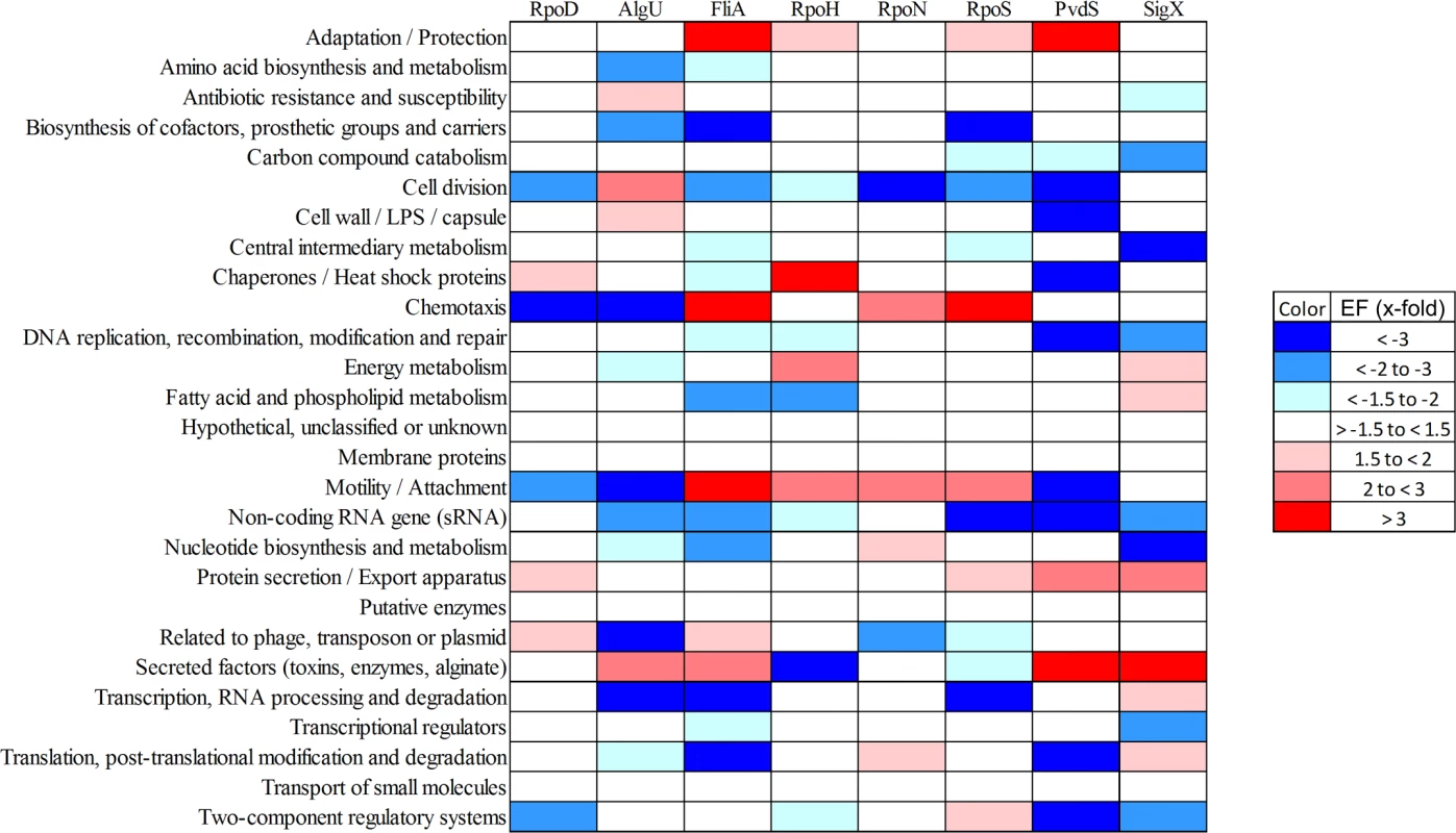 Functional characterization of primary sigma factor networks.