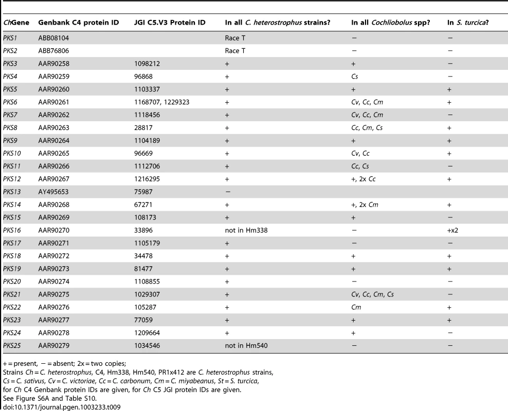Conservation of <i>C. heterostrophus</i> strain C5 polyketide synthases in other strains and species.