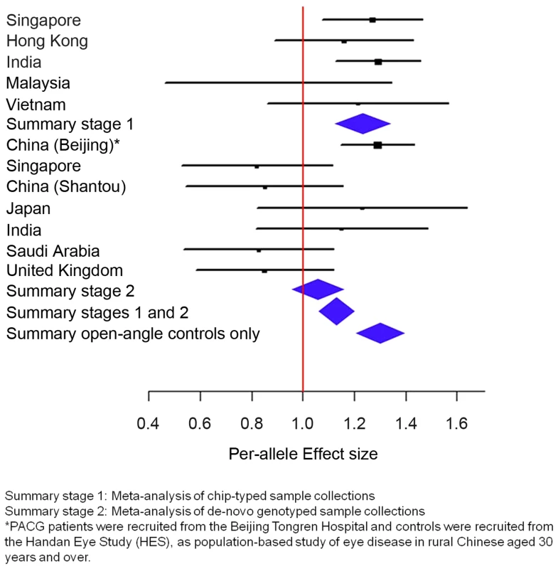 Association analysis between <i>ABCC5</i> rs1401999 and susceptibility to primary angle closure glaucoma (PACG).