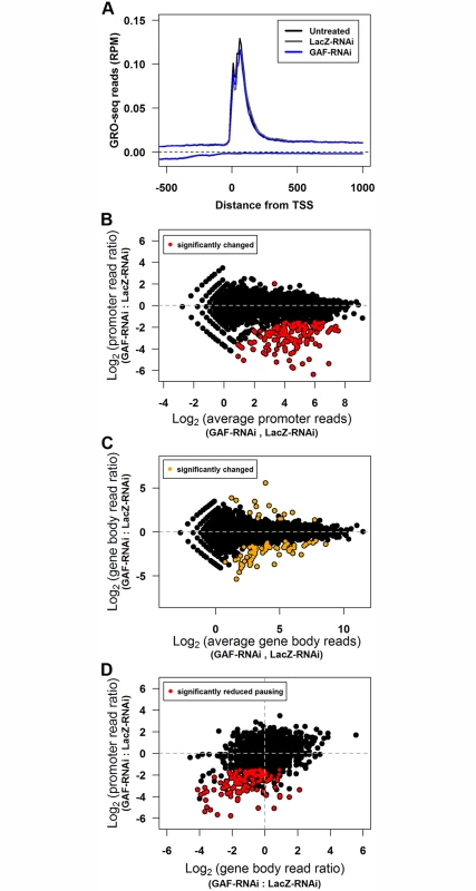 GAF knock-down reduces promoter-proximal polymerase on many genes.