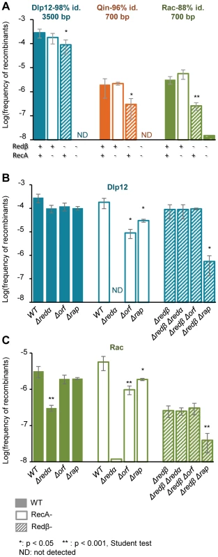 Recombinants between λ and defective prophages are formed preferentially by the Red-pathway, especially when sequences are short or diverged.