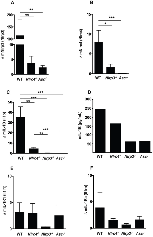 Regulation of <i>Nlrp3</i> and <i>Nlrc4</i> expression in mucosal candidiasis.