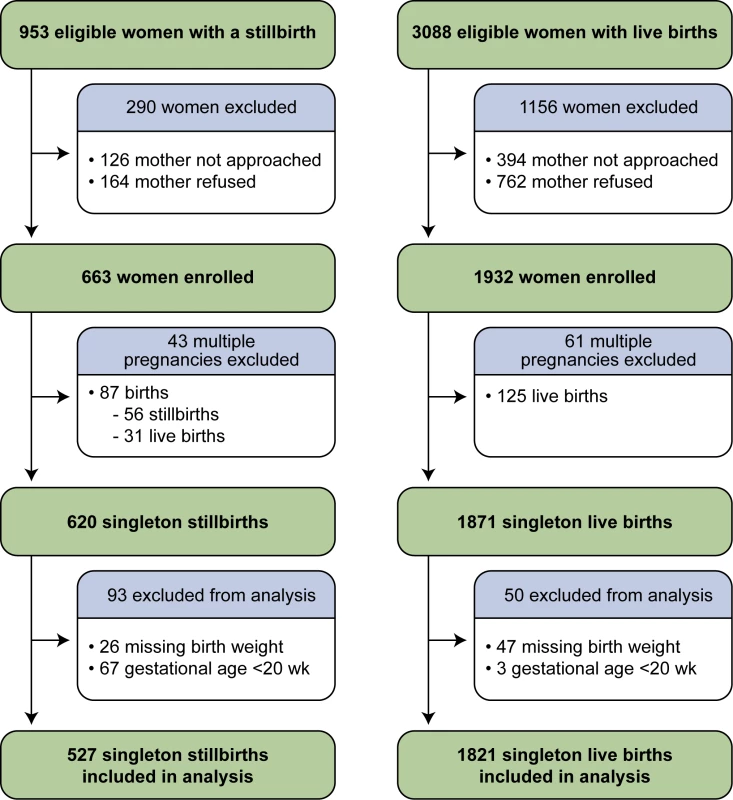 Study enrollment and inclusion in analysis.