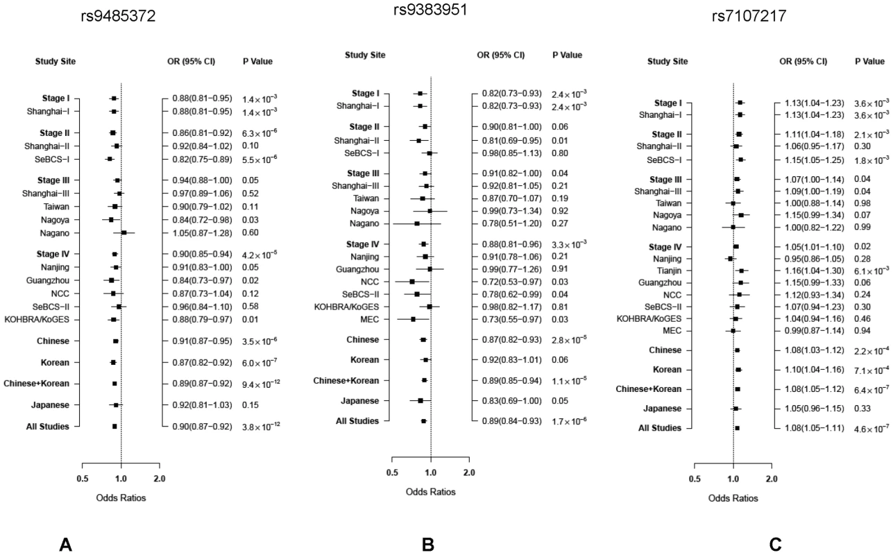 ORs per risk allele and 95% CIs for breast cancer associated with three SNPs by study site and ethnicity.