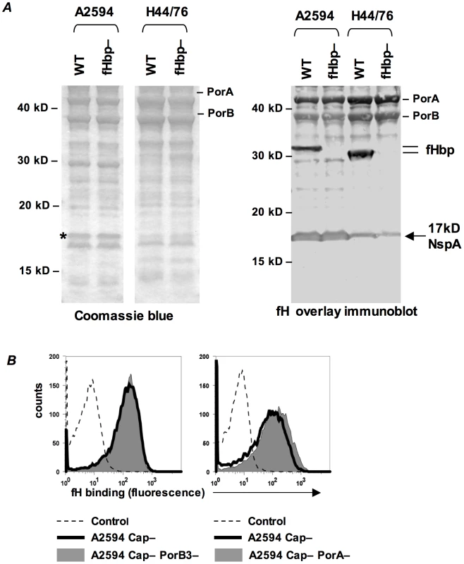 Identification of NspA as a meningococcal ligand for fH.