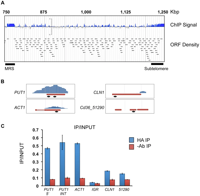 Localization of Tlo1-DNA interaction by ChIp-Chip analysis.