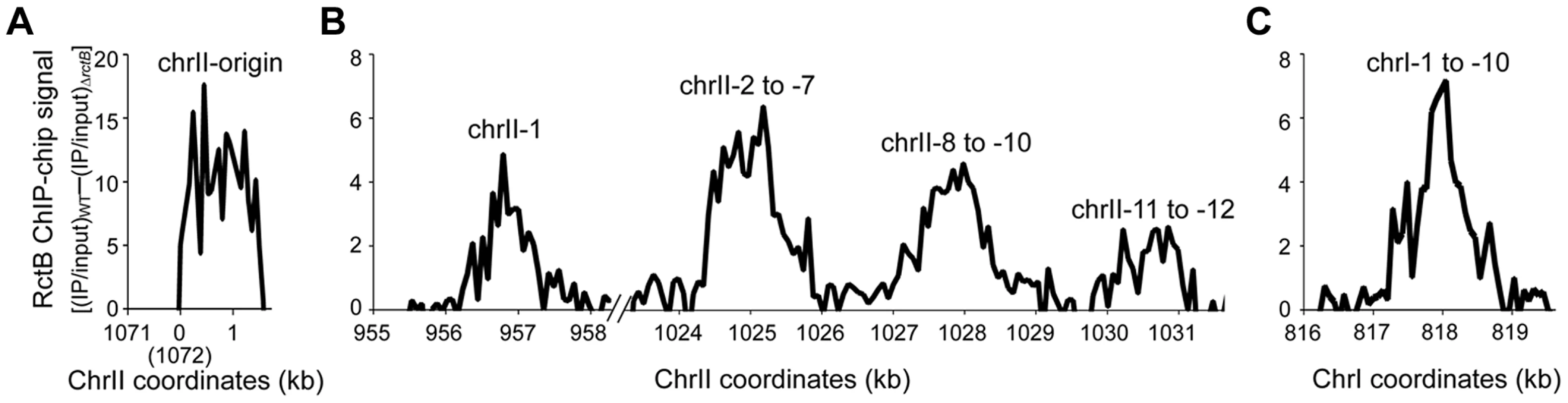 The chrII initiator, RctB, binds to sites outside of the chrII origin.