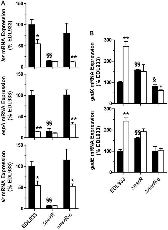 Effect of NsrR on LEE, <i>gadX</i>, and <i>gadE</i> gene expression.