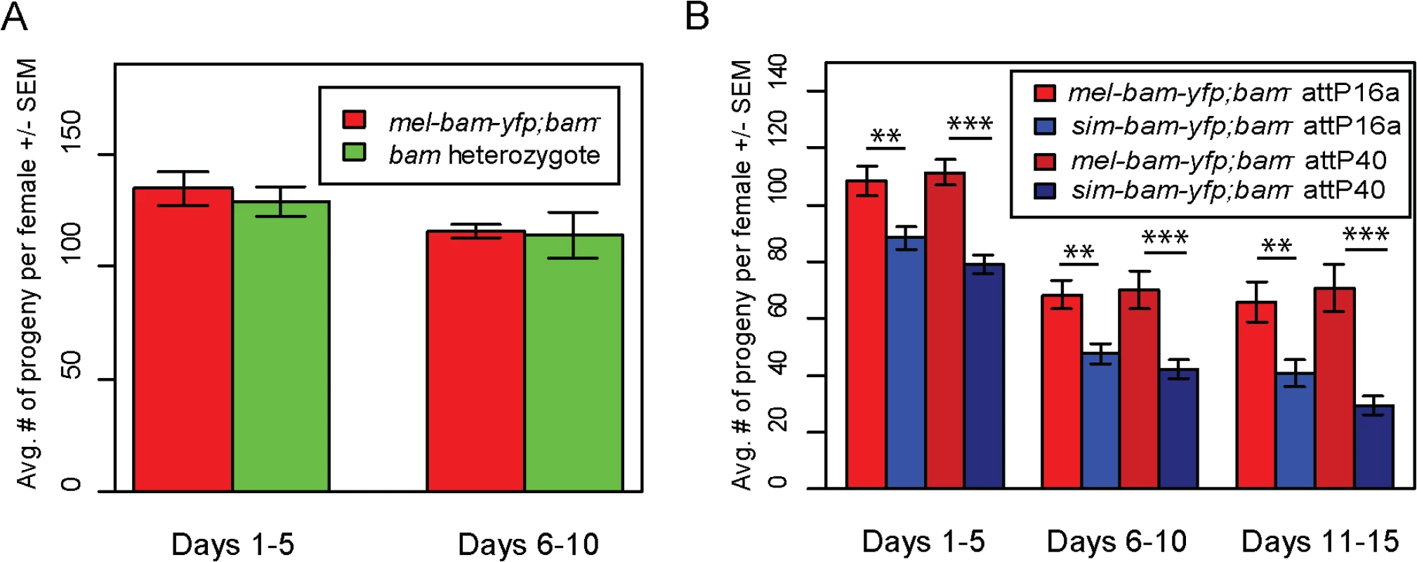<i>sim-bam-yfp</i> does not fully rescue <i>D</i>. <i>melanogaster bam</i> mutant female sterility.