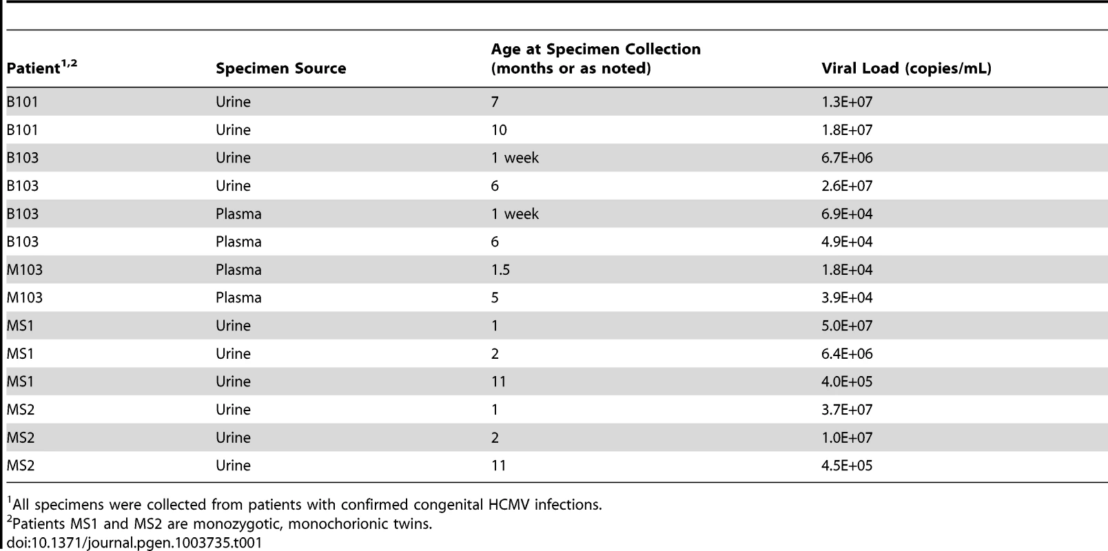 Patient and specimen information.