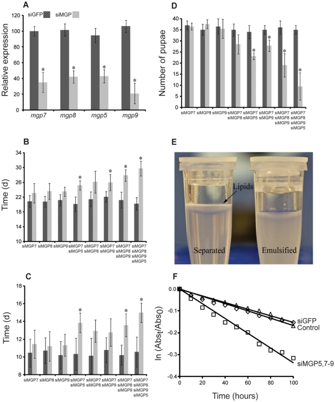 Phenotypes in lactating females following injection of MGP-specific siRNA.