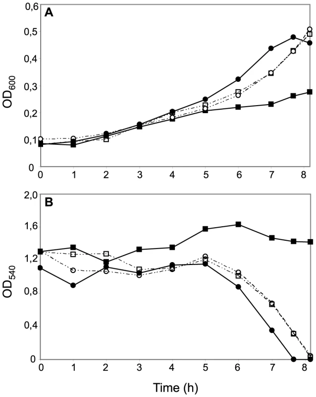 Effects of CcoP domain alterations on microaerobic growth and nitrite reduction in <i>N. meningitidis</i>.