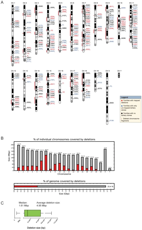 Molecular characterization of DelES clones.