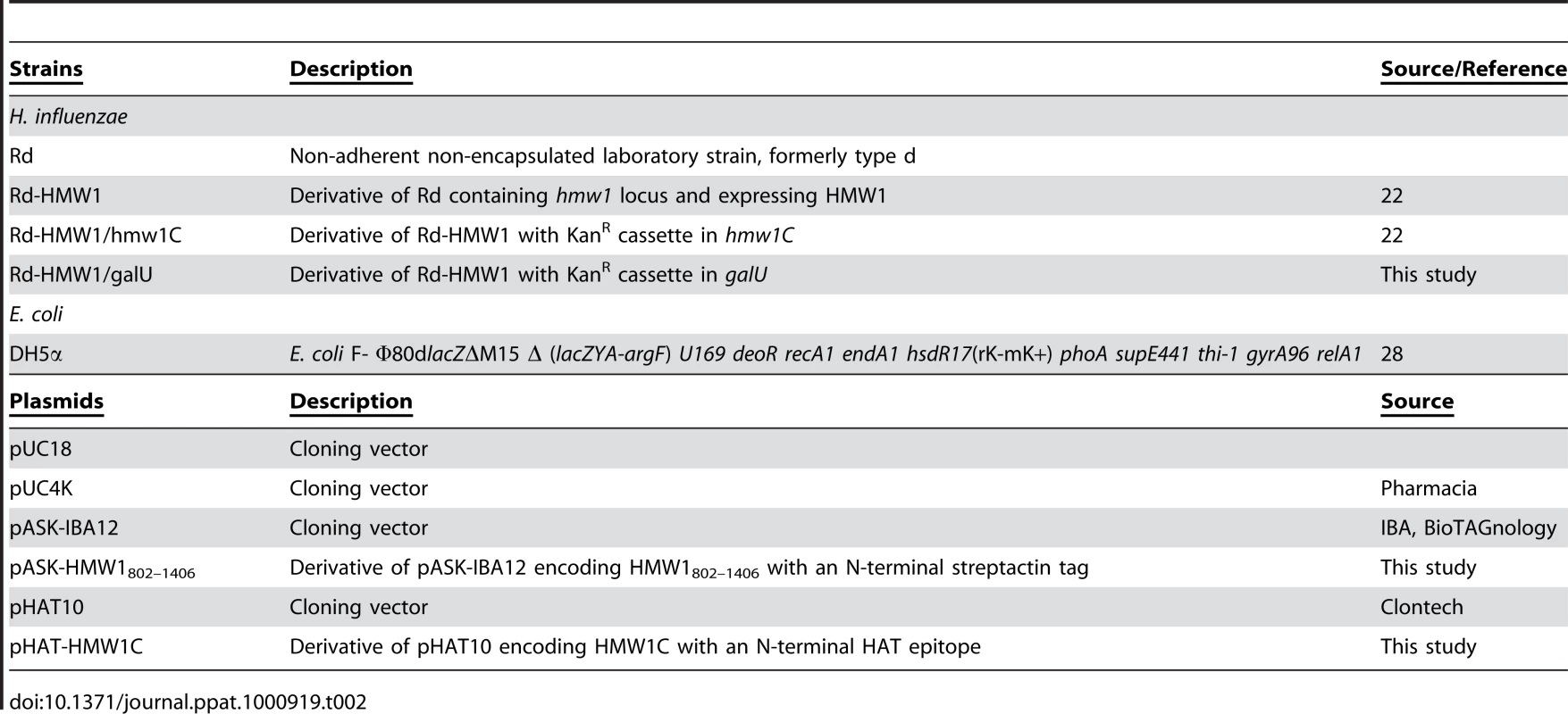 Strains and plasmids used in this study.
