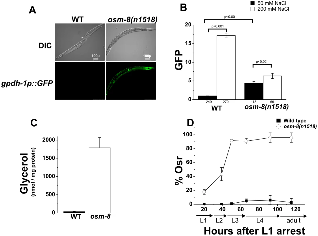 <i>osm-8</i> mutants constitutively activate osmosensitive gene expression and glycerol biosynthesis in the absence of hypertonic stress.