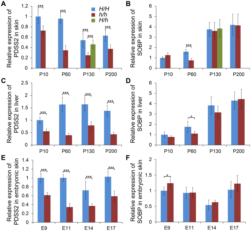 Relative mRNA expression levels of <i>PDSS2</i> and <i>SOBP</i> in skin and liver.