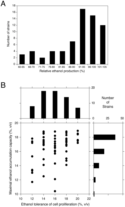 Maximal ethanol accumulation capacity and ethanol tolerance of cell proliferation in 68 different yeast strains.