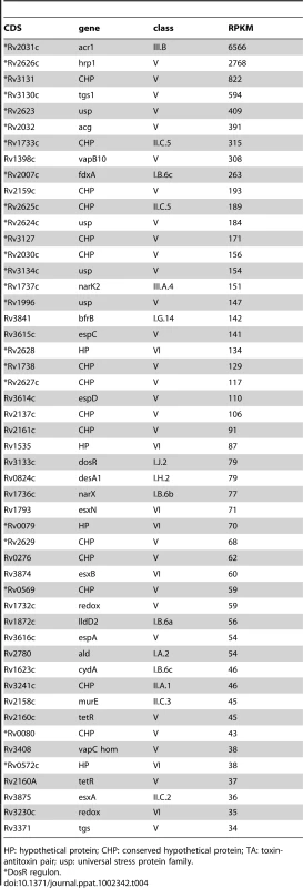 Ranking of the most abundant coding transcripts in stationary phase.