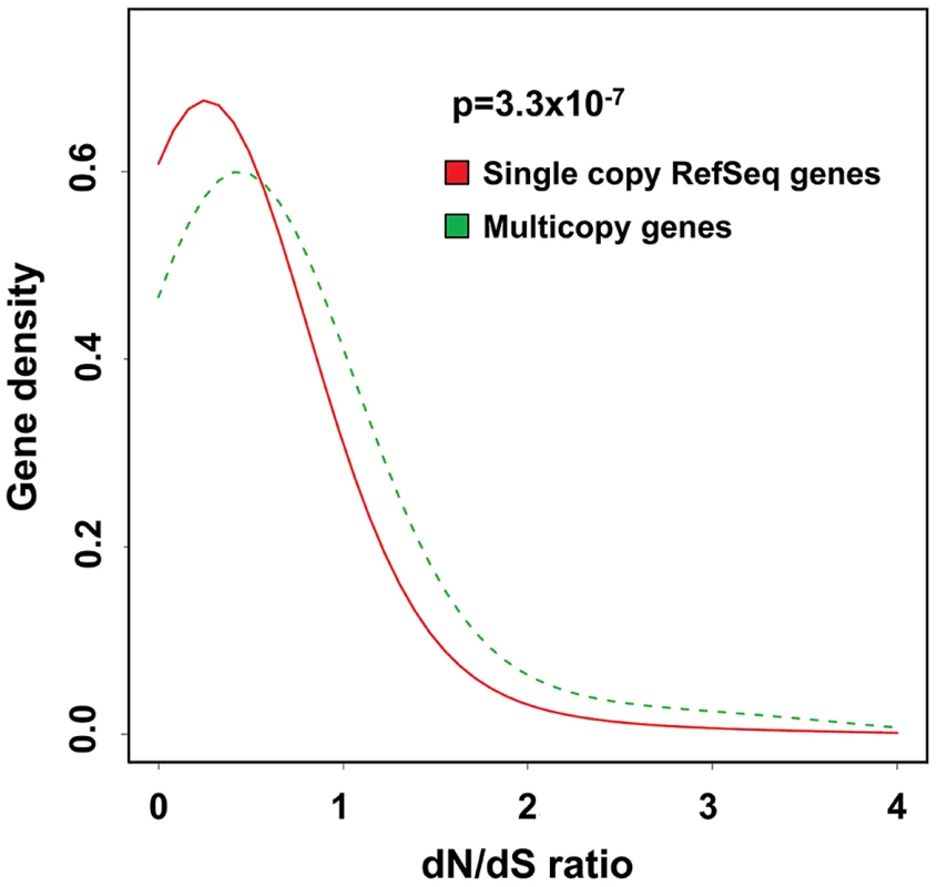 Multicopy genes show evidence of altered selective pressures on amino acid sequence during recent primate evolution.