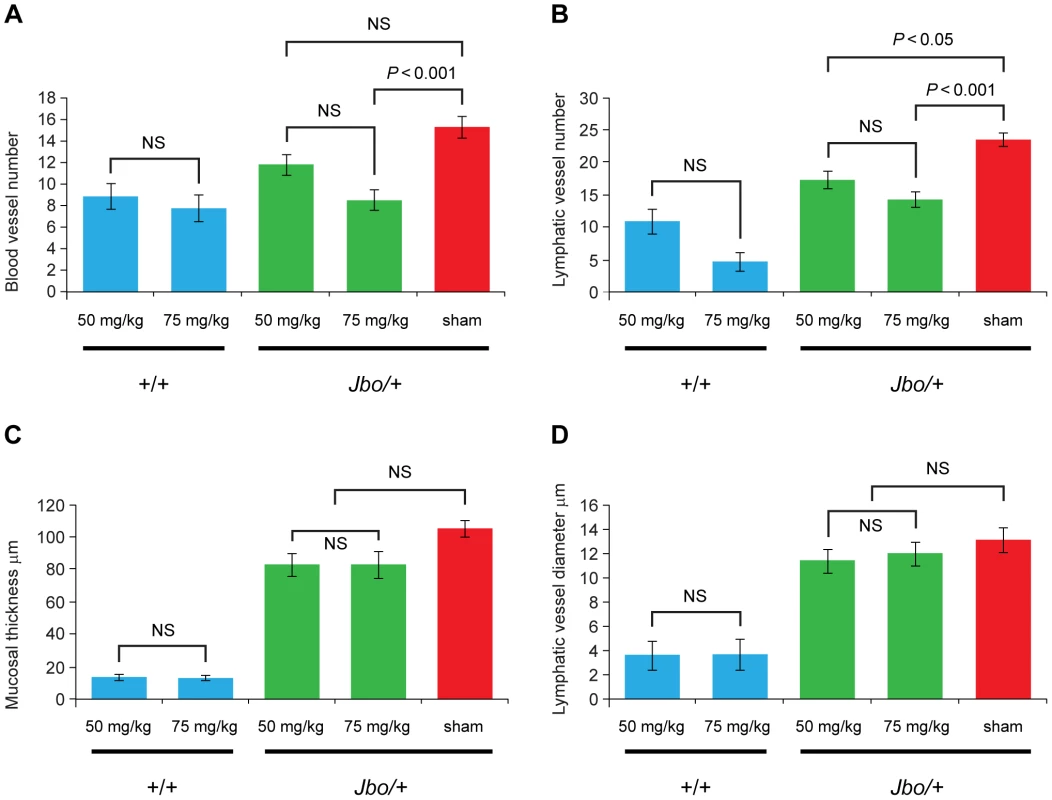 Treatment of <i>Jbo/+</i> mice with PTK787 reduces angiogenesis and lymphangiogenesis in the inflamed middle ear mucosa.