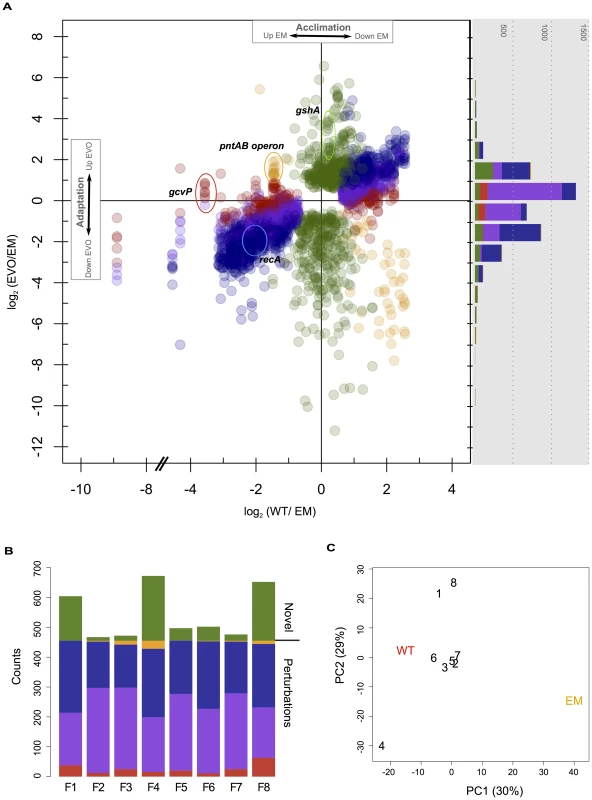 Microarray analysis of changes in gene expression in WT, EM, and each of the evolved strains.