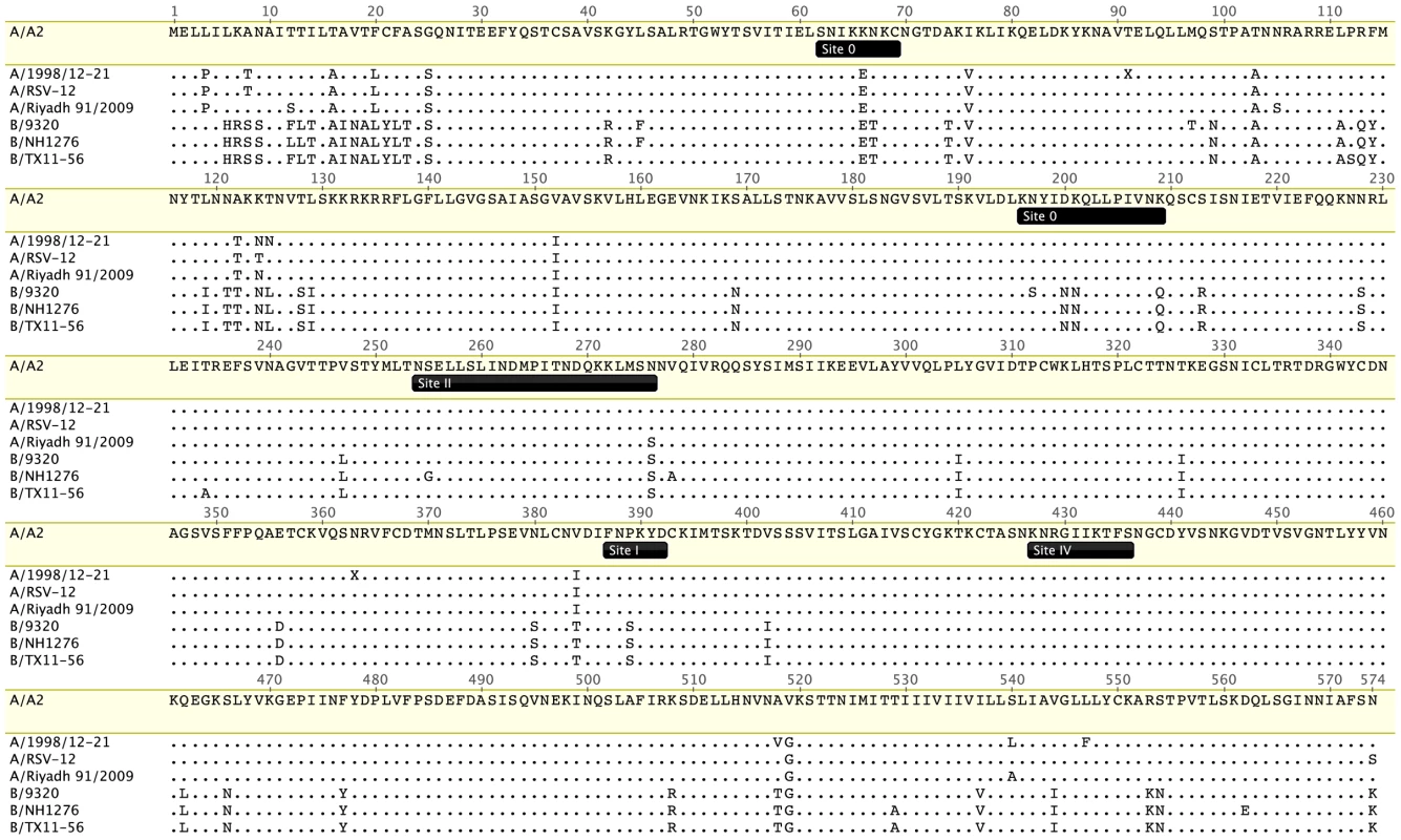 Conservation of RSV F protein antigenic sites characterized to date.