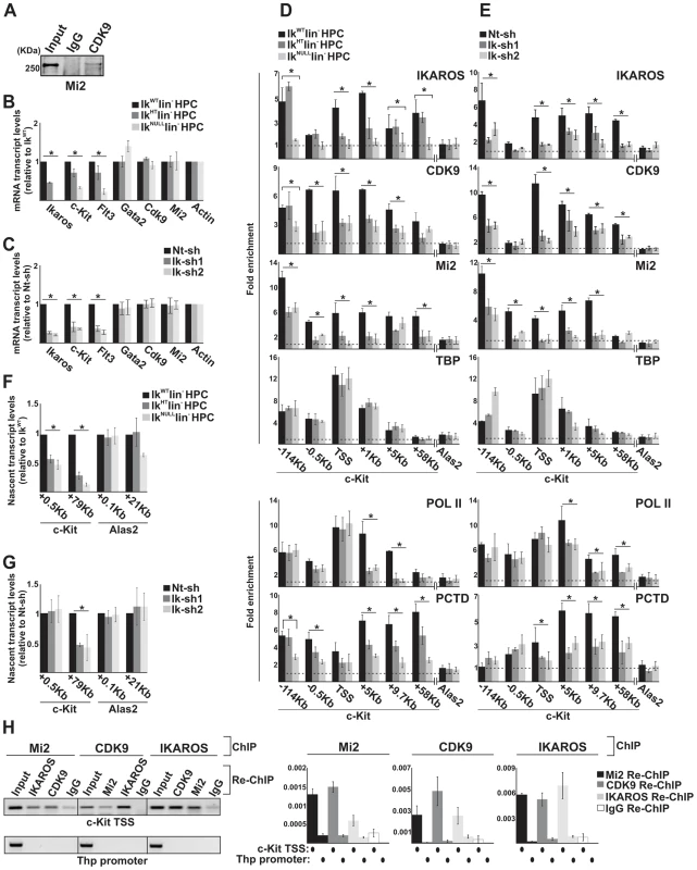 The simultaneous recruitment of P-TEFb and NuRD is IKAROS dose-dependent.