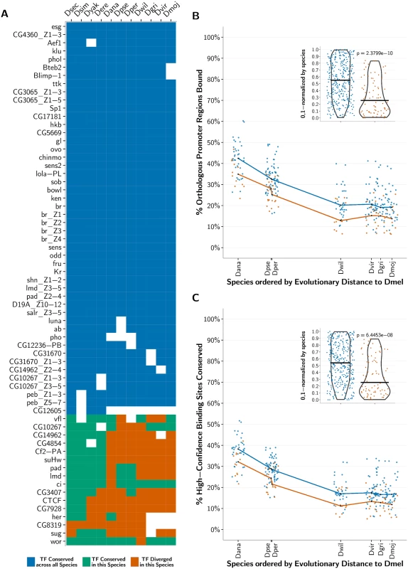 Conservation of predicted binding motifs for experimentally derived PWMs across species.