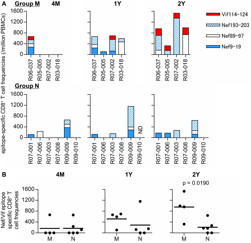 Nef<sub>9–19</sub>, Nef<sub>89–97</sub>, Nef<sub>193–203</sub>, and Vif<sub>114–124</sub> epitope-specific CD8<sup>+</sup> T-cell responses in SIV controllers.