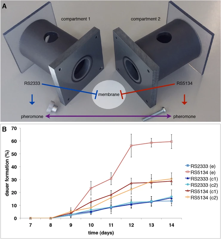 Ussing chamber setup and competition assay.