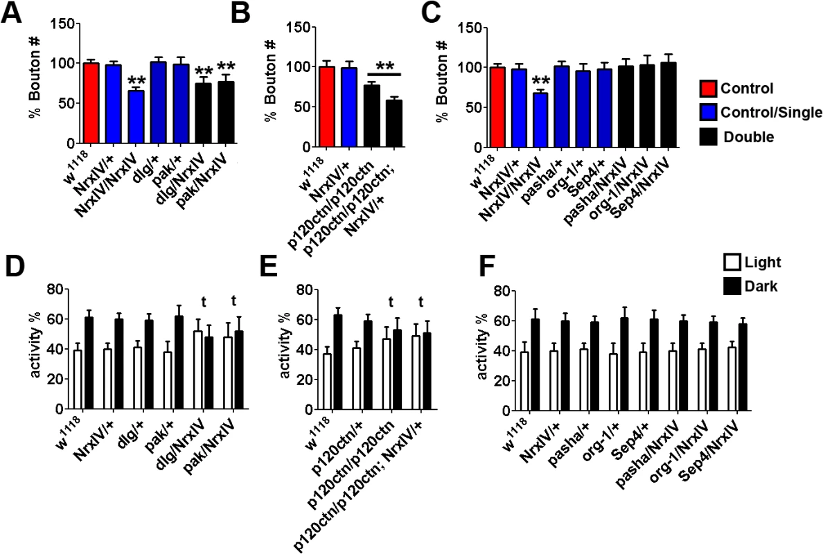 Selective genetic interactions observed between the <i>Drosophila</i> orthologues of ASD candidate genes and Neurexin IV.