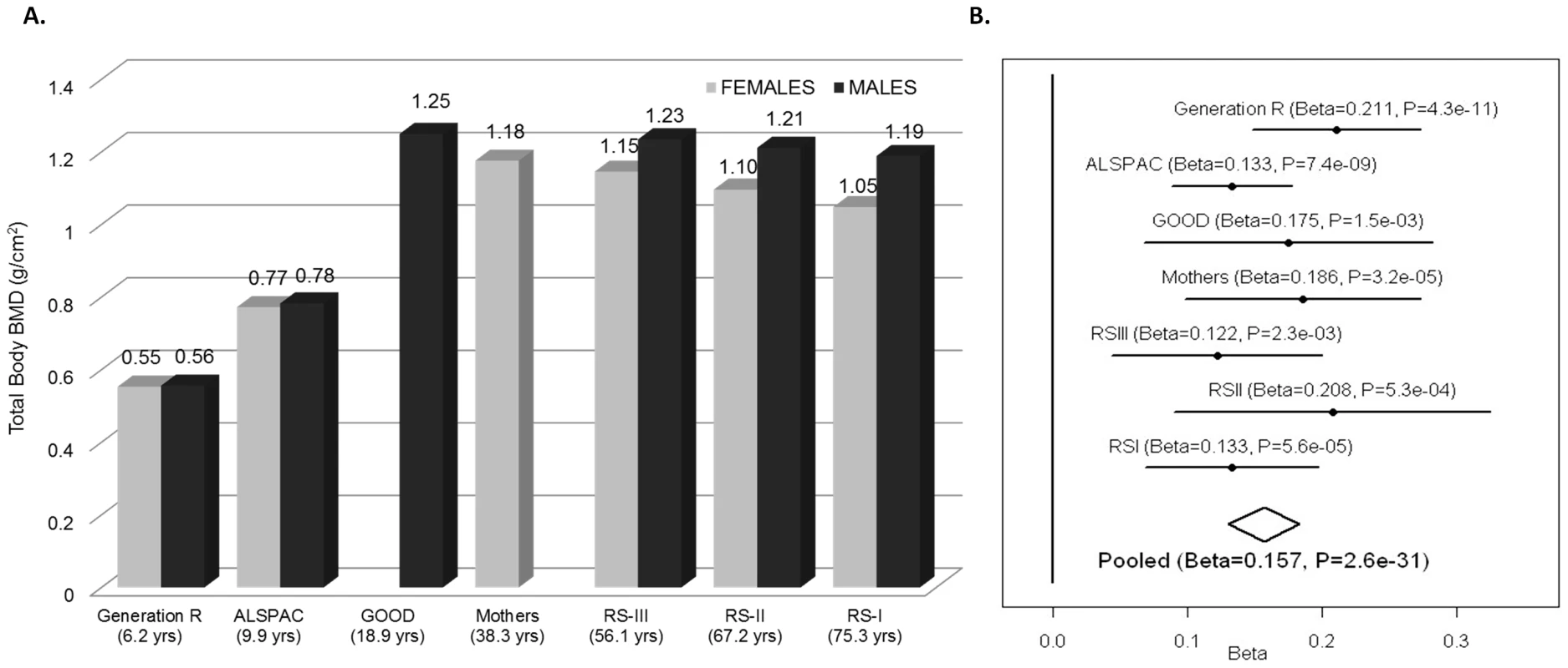 TB-BMD across cohorts and meta-analysis.