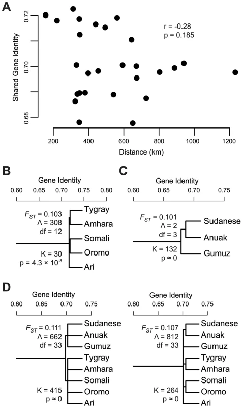 Tests of gene flow and population structure in the African ancestry of HOA populations.