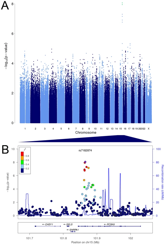 <i>PCSK6</i> is associated with relative hand skill in individuals with reading disability.