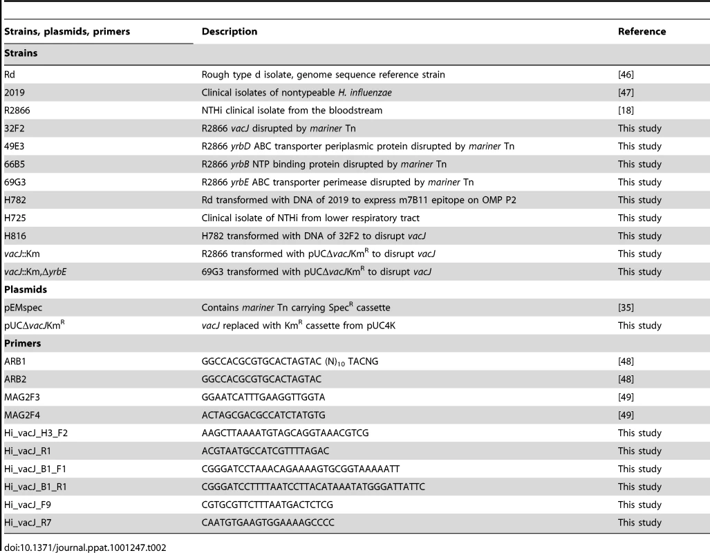 The list of strains, plasmids and primers used in this study.