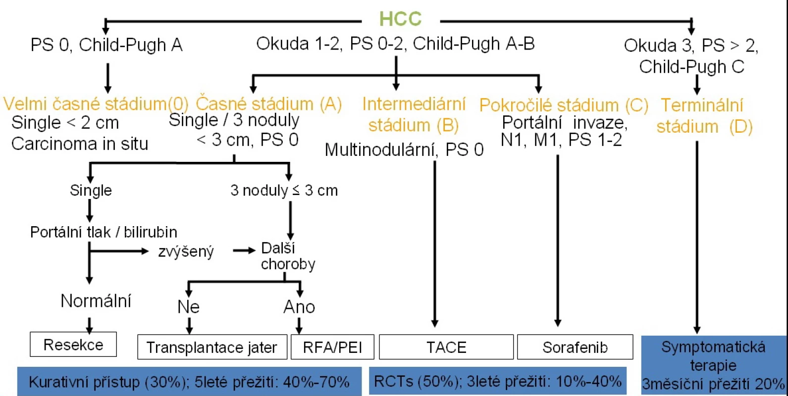 Barcelona Clinic Liver Cancer klasifikace (2)