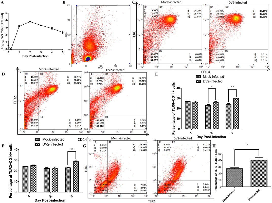 Expression of TLR2 and TLR6 of DV2-infected PBMC.