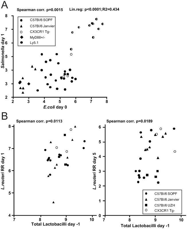 Infection experiments in conventional mice reveal correlation of bacterial infectivity with the prevalence of related species.
