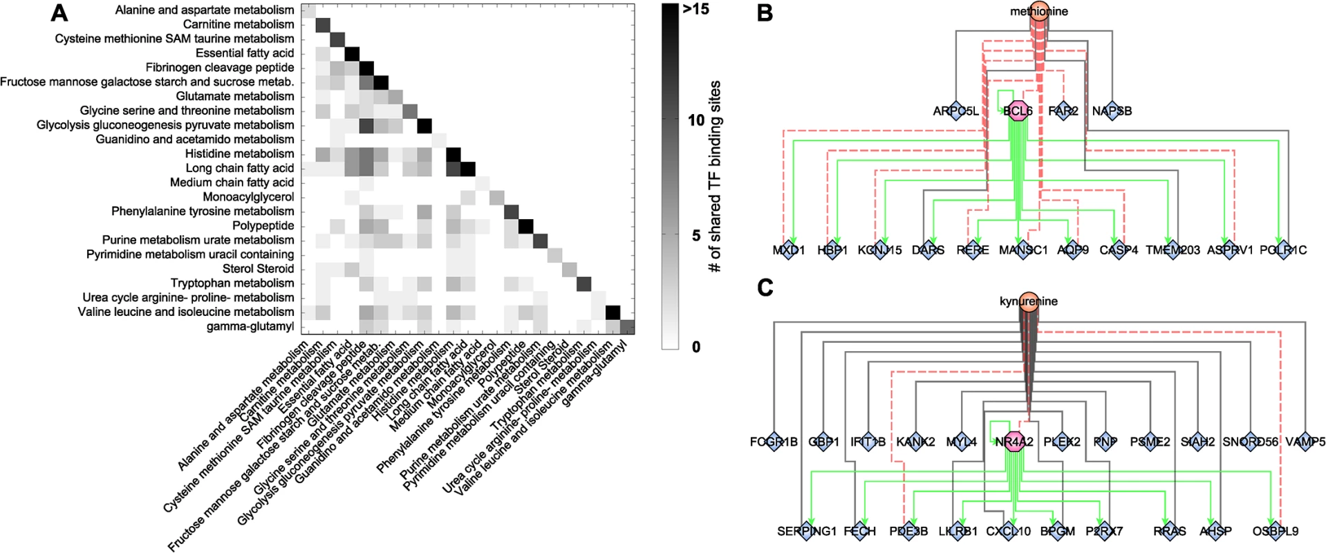 Transcription factor binding site analysis.
