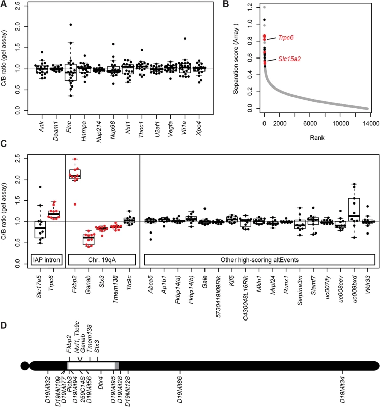 Nxf1 alleles do not affect alternative processing at non-IAP sites.