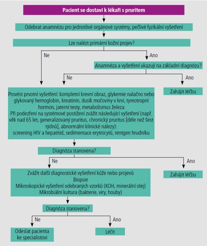 Diagnostický algoritmus pro pruritus.