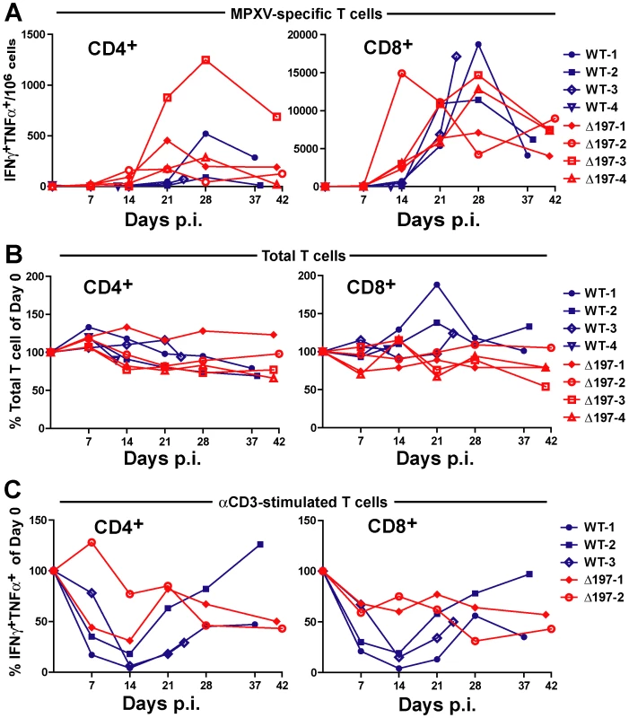 MPXV197 suppresses T cell responses <i>in vivo</i>.
