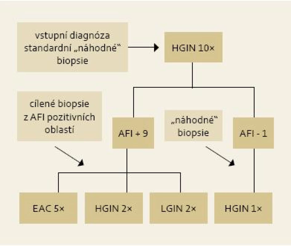 Výsledky cílených biopsií z AFI pozitivních okrsků u pacientů s HGIN/EAC .
Fig. 4. Results of targeted biopsies from AFI-positive areas in patients with HGIN/EAC.