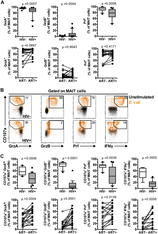 IL-7 arming of MAIT cells and MAIT cell cytotoxic capacity are impaired in chronic HIV-1 infection.