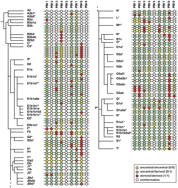 Phylogenetic analysis of gene conversion events within P6.