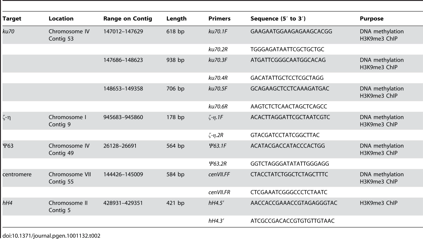 List of primers used in this study.