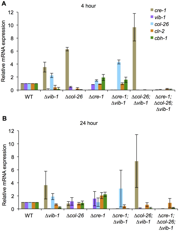 Suppression of <i>cre-1</i> and <i>col-26</i> expression by VIB1 plays a role in early inductive and utilization phase during growth on cellulose.